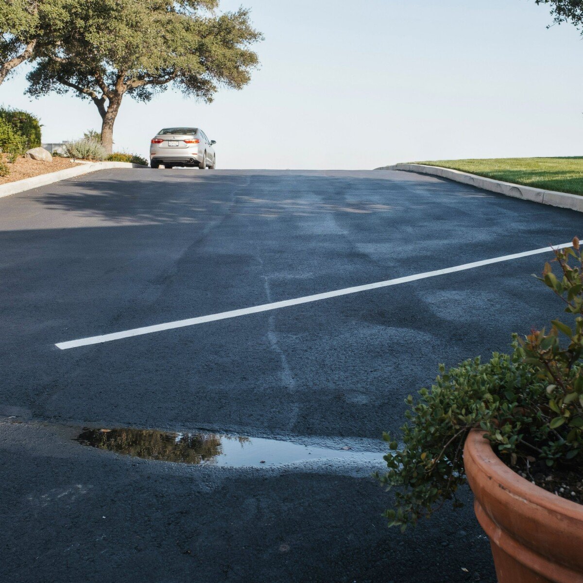 Driveway Sealing: Protect Against Cracks, Water Damage, and Costly Repairs